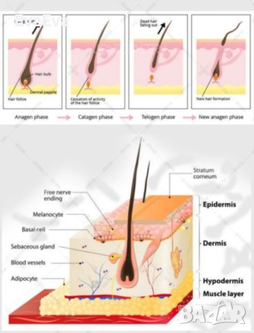 Диоден лазер с 3 дължини на вълната нов, снимка 5 - Козметични уреди - 42766224