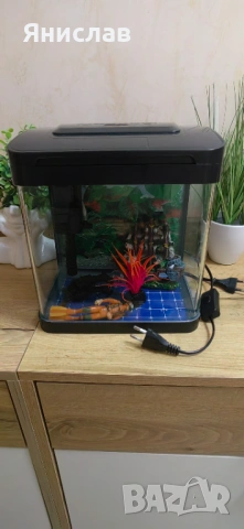 Аквариум за рибки