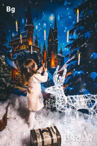 Harry Potter Шапка,Сова,снич и метли Nimbus 3000, снимка 8 - Подаръци за рожден ден - 55955413