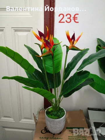 реалистични изкуствени цветя подходящи за декорация на дома, офиса, хотела или заведение , снимка 4 - Декорация за дома - 54008986