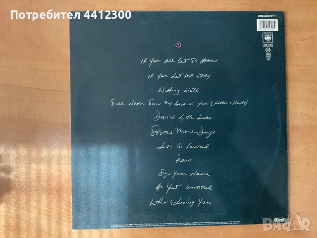 Грамофонна плоча 12”, снимка 2 - Грамофонни плочи - 49745500