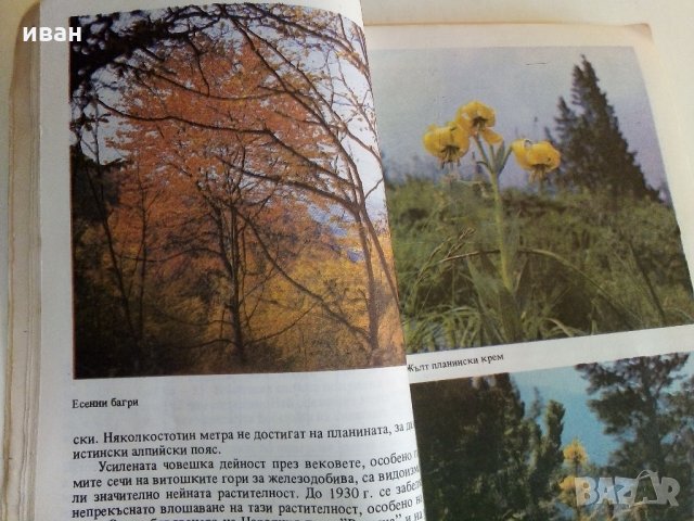Витоша - Пътеводител  - Руен Боналов - 1990 г., снимка 5 - Енциклопедии, справочници - 33781017