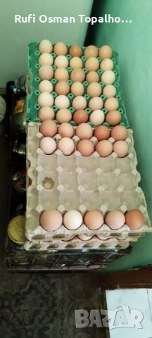 Продавам  пресни домашни яйца, снимка 2 - други­ - 54277065