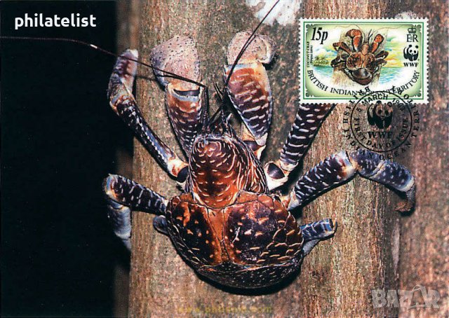 Британски територии в Индийския океан - 4 бр Карти Максимум, снимка 4 - Филателия - 38843593