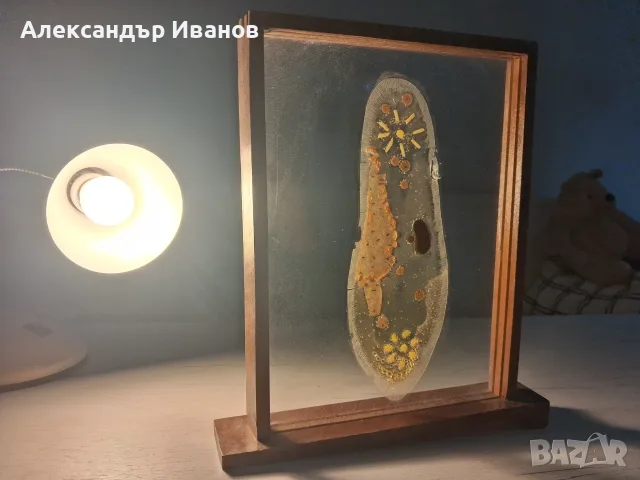 Старо,учебно пособие,макет на чехълче, снимка 3 - Колекции - 56150043