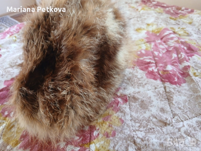 Земна шапка от лисица, снимка 2 - Шапки - 52927607
