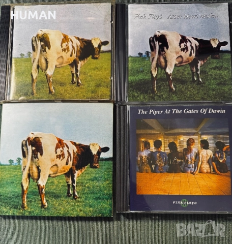 Pink Floyd , снимка 7 - CD дискове - 51946256