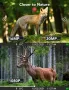 Камера Victure Wildlife 20MP 1080P FHD нощно виждане ловна камера, снимка 5