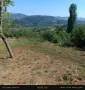 Парцел в вилната зона на Прилепци, снимка 2