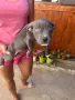 Две момичета с две ваксини и паспорт!, снимка 1