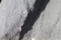 Русенска кърлянка , снимка 14