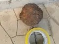СТАРО АНТИЧНО ГЮЛЕ 1/2 1908261059, снимка 8