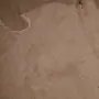 Голяма агнешка кожа, снимка 4