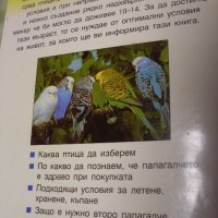 Книги за домашни птици., снимка 5 - Специализирана литература - 35385931