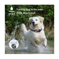 3160 Електронен нашийник за куче водоустойчив потопяем с обхват до 800 м., снимка 4 - За кучета - 34237336