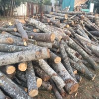 Продавам дърва за огрев, снимка 6 - Дърва за огрев - 11072957