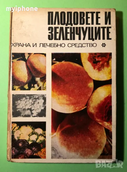 Стара Книга Плодовете и Зеленчуците Храна и Лечебно Средство, снимка 1