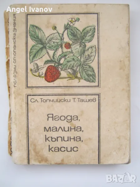 Ягода,малина,къпина, касис, снимка 1