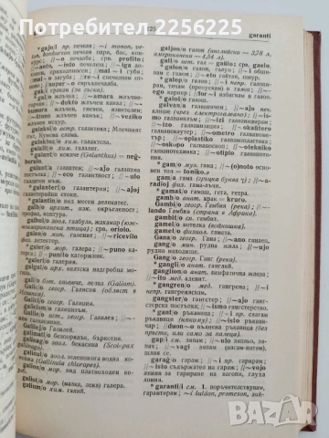Есперантско-български речник, снимка 3 - Чуждоезиково обучение, речници - 52181547
