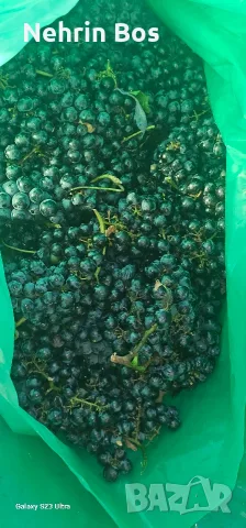 merlo zaharnosta 24 , снимка 6 - Крави - 55874089