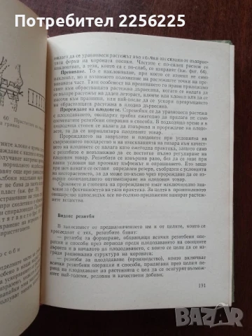 Практическо овощарство, снимка 7 - Специализирана литература - 50611699