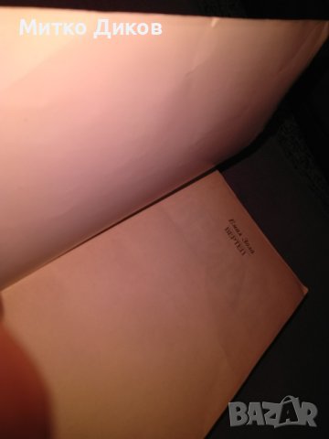 Вертеп Емил Зола роман, снимка 4 - Художествена литература - 42704959