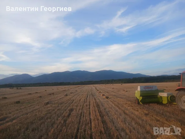 бали сено и слама, снимка 5 - За селскостопански - 56378232