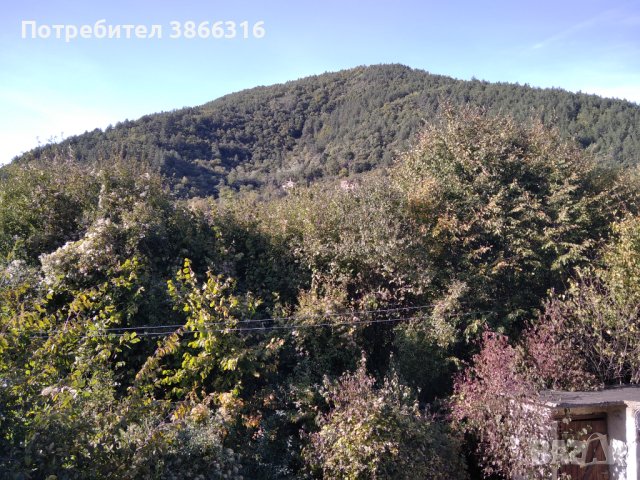 Продава вила, с.Владо Тричков, в.з.Ромча, снимка 16 - Къщи - 42528346