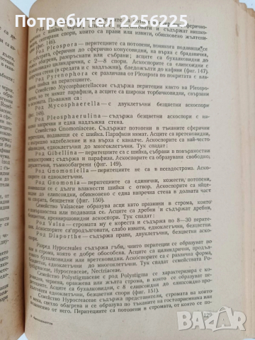 Фитопатология 1964г, снимка 5 - Специализирана литература - 52790203