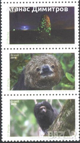 Чисти марки Фауна 2019 от Бразилия, снимка 1 - Филателия - 40625281