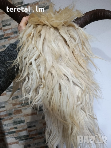 Голяма маска, снимка 3 - Други ценни предмети - 52727184