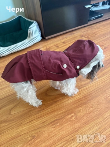 Дрешка за дребна порода куче, снимка 2 - За кучета - 53074191