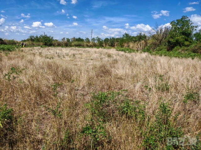 Продава се дворно място 2000м² , снимка 8 - Парцели - 51712104