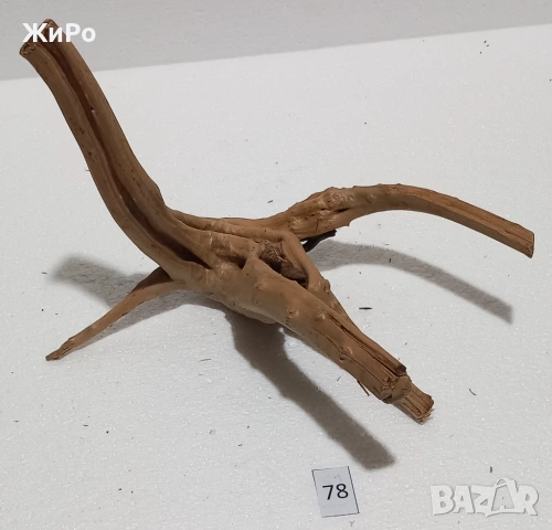 Корен от Азалия /декорация/ 78, снимка 2 - Други - 54102621