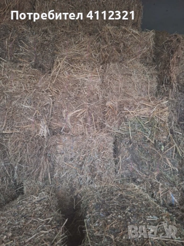 Бали люцерна - доставка на място , снимка 2 - За селскостопански - 53271209