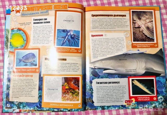 Приключения в океана-BILLA-албум стикери, снимка 3 - Други - 34956817