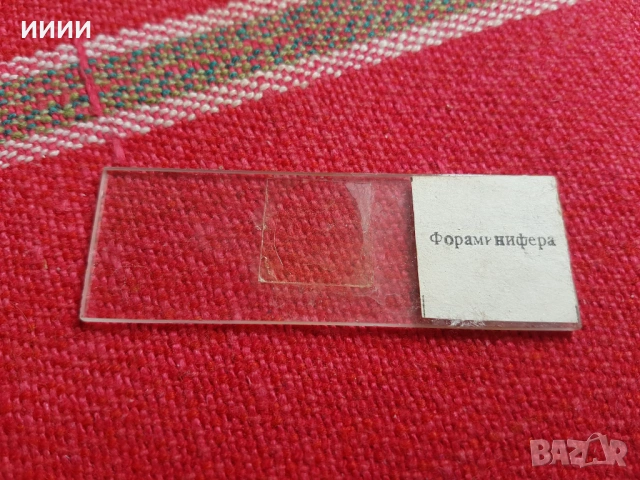 Микроскопски препарати, снимка 4 - Антикварни и старинни предмети - 54308854