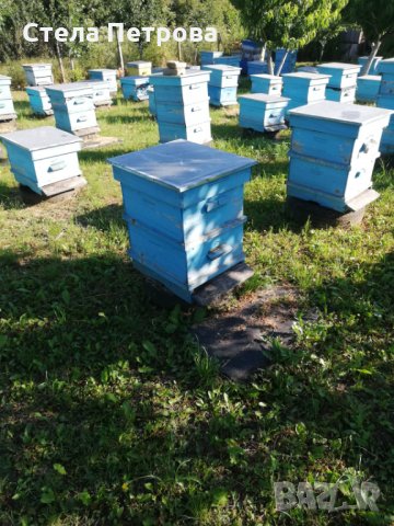 Пчелни кошери, снимка 1 - За пчели - 29270596