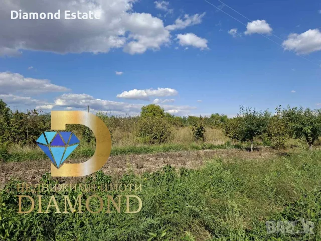 Парцел в село Ястребово, общ. Опан, снимка 4 - Парцели - 56096709