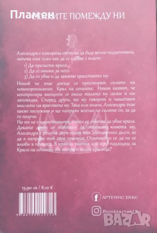 Сенките помежду ни Триша Левънселър, снимка 2 - Художествена литература - 39094289