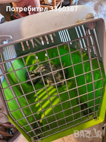 кош за животни, снимка 2 - За кучета - 52100074