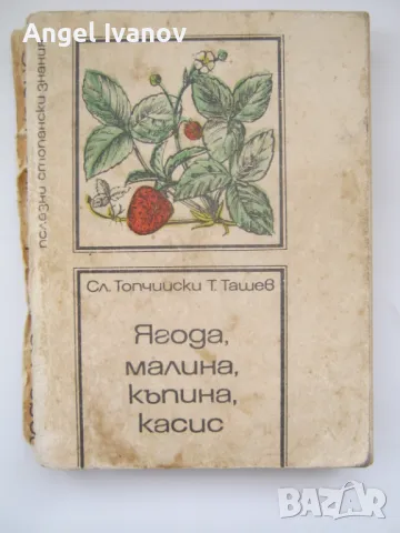 Ягода,малина,къпина, касис