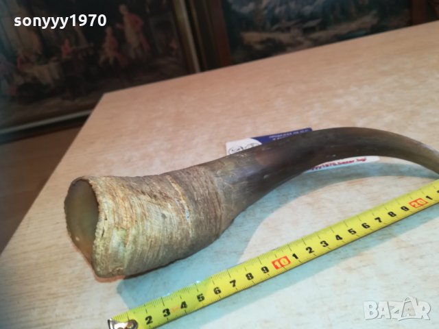 рог за колекция 0511201242, снимка 3 - Колекции - 30682903