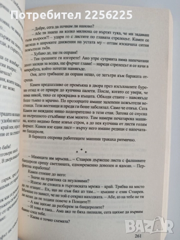 Стъклен дом, снимка 4 - Художествена литература - 52670042