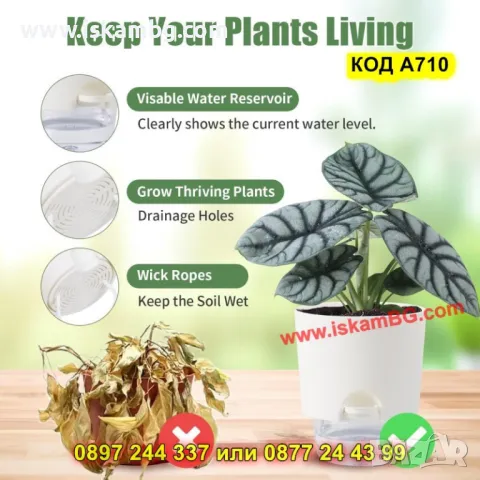 Самополивна саксия с фитил за напояване МАЛКА - КОД А710, снимка 5 - Саксии и кашпи - 50317064