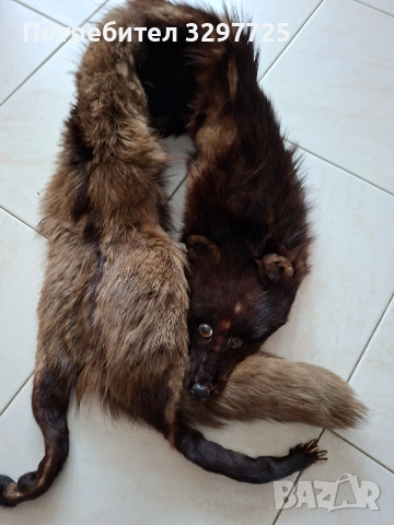 Кожухчета от лисица!, снимка 9 - Палта, манта - 53996386