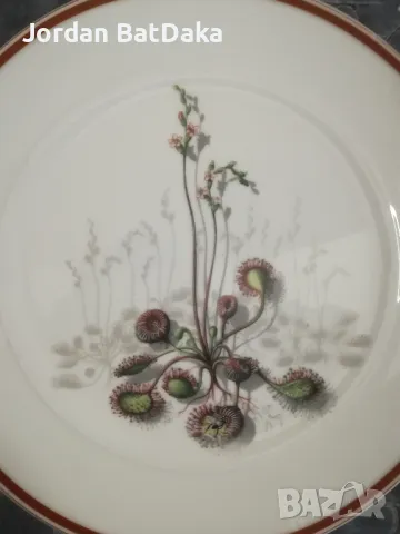 Чинии Декорация, снимка 4 - Декорация за дома - 50431130