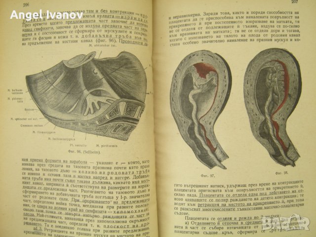 Основи на акушерството, снимка 8 - Специализирана литература - 44421763