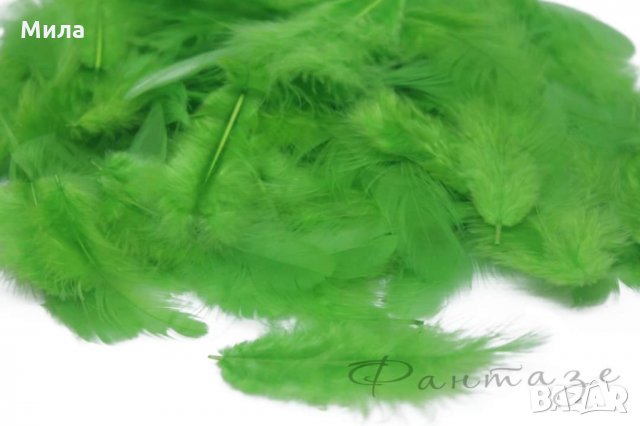 Пера, снимка 3 - Декорация за дома - 31498455