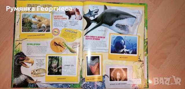 Продавам албуми "Праисторически времена" и "Изобретено от природата", снимка 4 - Колекции - 35247158